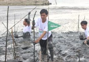 Aksi penanaman pohon mangrove di Desa Keraya Kabupaten Kotawaringin Barat Kalimantan Tengah, pada Kamis (28/8/2025).